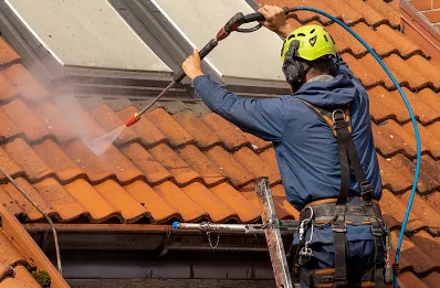 Démoussage et hydrofuge de toiture à Saint-Alban-de-Roche